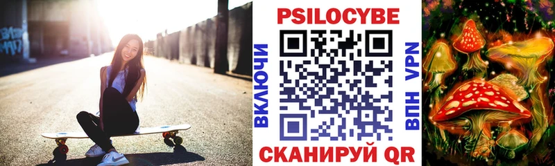 Псилоцибиновые грибы Cubensis  дарнет шоп  гидра как зайти  Сосновоборск 